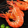 東上御品 塞拉利昂 斑節蝦 海鮮水產(chǎn) 竹節蝦 30-40只2斤凈重-源頭直發(fā) 曬單實(shí)拍圖
