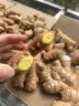 東鮮豐正宗云南小黃姜生姜新鮮蔬菜農家自種產(chǎn)地直發(fā) 凈重約3斤 曬單實(shí)拍圖