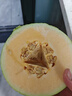 琪江果海南哈密瓜 西州蜜網(wǎng)紋密瓜當季新鮮水果整箱 哈密瓜凈重2-3斤1個(gè) 曬單實(shí)拍圖