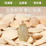 脆美人熟南瓜子仁500g罐大顆粒無(wú)殼南瓜籽仁現炒貨干果堅果烘焙休閑零食 曬單實(shí)拍圖