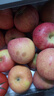 洛川蘋(píng)果陜西延安特產(chǎn)紅富士時(shí)令蘋(píng)果水果禮盒送蘋(píng)果生鮮新鮮脆甜整箱批發(fā) 凈重8.5斤85-90mm鉑金特大果脆甜 曬單實(shí)拍圖