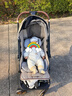凱利童車(chē)kinlee凱利PS102pro新生兒推車(chē)可坐可躺一秒折疊雙向出行嬰兒推車(chē) Pro Max 砂礫棕 曬單實(shí)拍圖