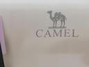 駱駝（CAMEL）冷白皮戶(hù)外原紗防曬衣25新款男女upf2000立領(lǐng)修身速干防曬服  M 曬單實(shí)拍圖