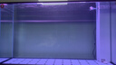 森森（SUNSUN）大型魚(yú)缸底過(guò)濾水族箱客廳家用落地玻璃生態(tài)金魚(yú)缸 超白款升級底濾 1.2米長(cháng)35cm寬（黑白灰可選） 曬單實(shí)拍圖