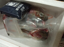 京喜國產(chǎn)三文魚(yú)頭冷凍超大深海魚(yú)頭邊角料人吃燒烤煲湯商用 發(fā)8只 200g -250g/只(送蘸料) 曬單實(shí)拍圖