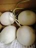 海南玉菇甜瓜 3/5/9斤香甜軟糯口感現摘現發(fā)新鮮水果產(chǎn)地白瓜整箱 凈重8.5-9斤【3-5個(gè)瓜】 曬單實(shí)拍圖