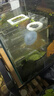 勛貍粑魚(yú)缸隔離盒亞克力孔雀魚(yú)繁殖盒烏龜魚(yú)苗斗魚(yú)熱帶魚(yú)幼魚(yú)小魚(yú)孵化盒 單格15*10*10(吸盤(pán)+掛鉤) 曬單實(shí)拍圖