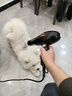 OIMG寵物店狗狗吹風(fēng)機 吹拉毛神器速干一體洗澡專(zhuān)用大 6件套 超大風(fēng)力加強版 曬單實(shí)拍圖
