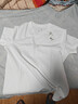 京東京造紅點(diǎn)10A抗菌短袖t恤男26新款純棉打底衫內搭春季衣服 白色XL 曬單實(shí)拍圖