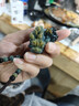 千載一玉翡翠貔貅吊墜 男女士禮物玉貔貅玉墜玉石皮丘玉佩 款六QZF3360q 曬單實(shí)拍圖