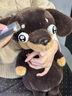 侶隨禮伴可愛(ài)臘腸狗公仔抽象邪惡小狗毛絨玩具吉娃娃玩偶送男女生生日禮物 臘肉-深棕 40cm 曬單實(shí)拍圖