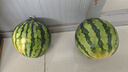 【脆甜多汁】海南有籽麒麟西瓜當季薄皮孕婦水果超甜整個(gè)包郵 麒麟西瓜帶箱4-6斤凈重4斤+ 曬單實(shí)拍圖