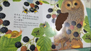 亮麗精美觸摸書(shū)系列（全4冊）小兔比利仿真觸摸書(shū)幼兒?jiǎn)⒚稍缃虝?shū)低幼認知繪本【0-2歲】寶寶繪本省錢(qián)卡  曬單實(shí)拍圖