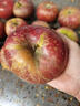 現摘當季云南昭通野生丑蘋(píng)果冰糖心蘋(píng)果水果新鮮脆甜大果5/10斤 中果70mm-75mm脆甜 5斤 曬單實(shí)拍圖