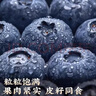 山姆大叔 金標·云南花香藍莓【JD-多地次日達】云南藍莓新鮮水果禮盒裝 125g*6大盒【狠劃算-復購爆款】?jì)?00g 金標果王【花香級丨更脆甜】20-24mm 曬單實(shí)拍圖