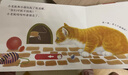 【滿(mǎn)74減15】好奇的小貓-動(dòng)物朋友手指推拉書(shū) 0-2歲 樂(lè )樂(lè )趣童書(shū) 故事書(shū)機關(guān)書(shū)省錢(qián)卡  曬單實(shí)拍圖
