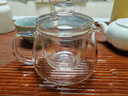 共茗泡茶壺400ml高硼硅耐熱高顏值耐用透明泡茶壺 透明 400ml 企鵝壺 曬單實(shí)拍圖
