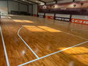 運動(dòng)木地板籃球館室內羽毛球館健身房舞臺瑜伽室輪滑館專(zhuān)用地板 樣品 22mm 曬單實(shí)拍圖
