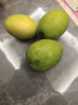 福建大青棗牛奶青棗脆甜冬棗新鮮水果清甜脆爽應季蜜棗冬棗現摘 帶箱5斤中果 單果50-80g 曬單實(shí)拍圖
