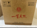 五糧液股份 一尊天下金龍瓶 濃香型白酒 52度500mL*6瓶 整箱裝 曬單實(shí)拍圖