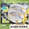 翔泰海南深海金鯧魚(yú)700g2條火鍋生鮮魚(yú)類(lèi)BAP認證 海鮮水產(chǎn) 曬單實(shí)拍圖