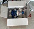 迪士尼（Disney）瘋狂動(dòng)物城朱迪斜挎包兔子玩偶包毛絨玩具三八節女神禮物女孩生日 曬單實(shí)拍圖