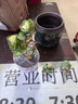京悠雨金錢(qián)木老樁多肉植物室內花卉盆栽四季好養客廳辦公室桌面擺件綠植 玉錦金錢(qián)木老樁(藍色盆) 曬單實(shí)拍圖