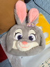 迪士尼（Disney）瘋狂動(dòng)物城朱迪春意斜挎包兔子玩偶毛絨玩具三八節女神禮物女生日 曬單實(shí)拍圖
