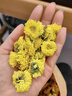 內廷上用胖東來(lái)同款特級黃菊花2025新貨500g婺源泡水去火養肝菊花草茶 黃菊花 250g*2袋 共500克 曬單實(shí)拍圖
