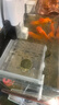 烏龜曬臺亞克力深水曬背爬臺壁掛式透明造景爬梯高水位休息浮臺 小號曬臺（下單送試吃龜糧） 曬單實(shí)拍圖