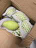 庾豐 海南芒果 新鮮水果生鮮整箱當季大青皮金煌芒 熱帶孕婦玉芒果 10斤裝(凈果8.5-9斤)單果200g+ 曬單實(shí)拍圖