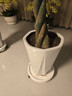 綠盼植物花盆底座帶輪結實(shí)接水盤(pán)結實(shí)加厚大號38cm外徑 曬單實(shí)拍圖