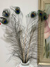 佐之尋孔雀羽毛擺件插花瓶的羽毛天然孔雀翎尾羽DIY裝飾品客廳花瓶擺件 孔雀毛（90-100cm6支） 曬單實(shí)拍圖