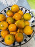 京覓廣西融安金桔凈重1斤 單果20g+ 金柑桔子水果生鮮源頭直發(fā)包郵 曬單實(shí)拍圖