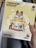 babycare兒童保溫杯嬰幼兒學(xué)飲寶寶吸管杯316L不銹鋼保溫杯幼兒園保溫壺t 贈直通吸嘴- 背帶款淺嗬綠450ml 曬單實(shí)拍圖