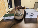 憶壺茶玻璃煮茶壺燒水電陶爐專(zhuān)用可明火加熱耐高溫大容量蒸煮一體提梁壺 曬單實(shí)拍圖