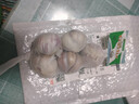 紫白皮蒜即食水果大蒜今年新鮮干蒜生鮮調料蒜瓣 5頭大蒜0.36斤 曬單實(shí)拍圖