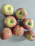 甘肅天水花牛蘋(píng)果粉糯香甜寶寶老人輔食蛇果產(chǎn)地直發(fā)京東快遞上門(mén) 帶箱3斤60-70mm小果 曬單實(shí)拍圖