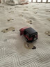 babycare合金小車(chē)bctoys仿真車(chē)模玩具賽車(chē)汽車(chē)跑車(chē)模型生日禮物 吉普牧馬人 曬單實(shí)拍圖