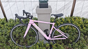 坎普RADON 公路車(chē)單車(chē)圈剎運動(dòng)賽車(chē)碳纖維前叉自行車(chē) 粉色18速 460碼 曬單實(shí)拍圖