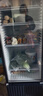 海爾（Haier）展示柜冷藏保鮮柜商用風(fēng)冷無(wú)霜一級能效立式飲料果蔬冷藏柜透明玻璃門(mén)超市便利店冰箱啤酒 339升/5層高1.66米/約裝203瓶339升 曬單實(shí)拍圖