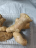 山東新鮮大姜超市生鮮蔬菜老姜即食水果生姜水洗凈姜 山東大姜250g 曬單實(shí)拍圖