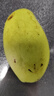 壹萌果蔬金煌芒芒果 當季現摘廣西大芒果新鮮水果水仙青芒果整箱送禮 5斤臻品果【單果300g+】 凈4.5斤 曬單實(shí)拍圖
