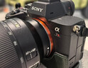 索尼（SONY）Alpha 7R V 全畫(huà)幅微單數碼相機 雙影像畫(huà)質(zhì)旗艦 AI智能芯片（ILCE-7RM5/A7R5/A7RM5） 曬單實(shí)拍圖