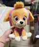 汪汪隊立大功（PAW PATROL）毛絨玩具狗狗陪睡玩偶經(jīng)典款天天中號坐姿可愛(ài)公仔男女孩生日禮物 曬單實(shí)拍圖