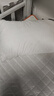 五星級酒店同款枕頭枕芯舒適睡眠專(zhuān)用一對家用學(xué)生宿舍不塌陷枕頭 白色經(jīng)典款【低枕】 【單只裝】 曬單實(shí)拍圖