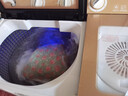 長(cháng)紅視潔2026新款半自動(dòng)洗衣機15-60公斤家商用雙缸雙桶大容量甩干老式脫水特價(jià)家電促銷(xiāo)不銹鋼內桶-洗被子 30kg金+雙鋼桶+雙電機+藍光 雙缸 曬單實(shí)拍圖