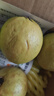 京覓福建紅心芭樂(lè ) 番石榴 應季 低糖孕婦水果 單果150g 凈重3斤裝 曬單實(shí)拍圖