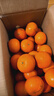 廣西武鳴沃柑新鮮孕婦水果應季水果薄皮柑橘子桔子產(chǎn)地批發(fā)價(jià) 9斤帶箱 大果（單果65-70mm） 曬單實(shí)拍圖