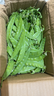 荷蘭豆新鮮蔬菜青豌豆甜脆豌豆苗四季豆扁豆當季時(shí)令新鮮蔬菜 新鮮荷蘭豆帶箱2斤【農家自種】 曬單實(shí)拍圖